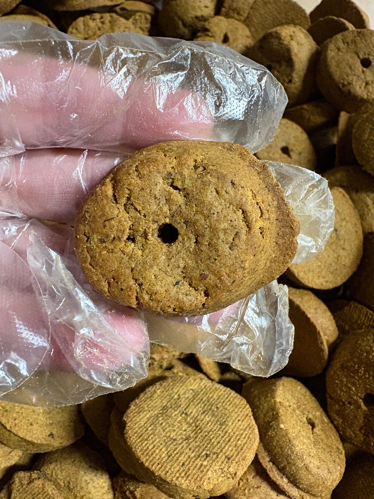 Tasty Meatloaf Crunchy Dog Treats – Wholesome Flavor in Every Bite | BeyondWhiskers
