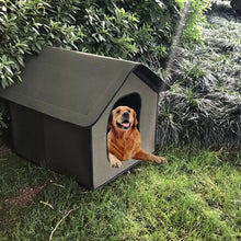 The All-Weather Pet Oasis - Your Furry Friend's Outdoor Sanctuary