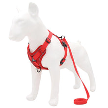 Reflective Adventure Dog Harness