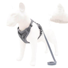 Reflective Adventure Dog Harness