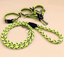 Ultimate Comfort Dog Leash