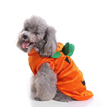 Spooky Festive Dog Costume