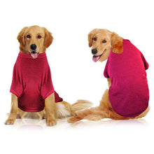 pet apparel