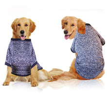 clothes for pets online