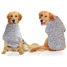 stylish clothes for pets online