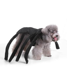 Spooky Festive Dog Costume