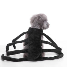 Spooky Festive Dog Costume