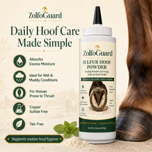 ZolfoGuard Sulfur Hoof Powder for Horses & Livestock, 16 oz – Drying Powder for Frogs, Soles & Hoof Walls – Sulfur, Bentonite Clay, Zinc Oxide & Peppermint Oil – Copper Sulfate Free, Talc Free Hoof Care