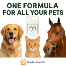 Oatmeal Shampoo – Vet-Recommended Itch Relief for Dogs, Cats & Horses – Hypoallergenic, Moisturizing & Deodorizing – 1 Gallon – Made in USA