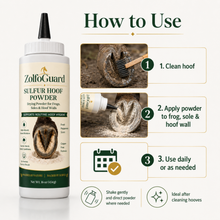 ZolfoGuard Sulfur Hoof Powder for Horses & Livestock, 16 oz – Drying Powder for Frogs, Soles & Hoof Walls – Sulfur, Bentonite Clay, Zinc Oxide & Peppermint Oil – Copper Sulfate Free, Talc Free Hoof Care