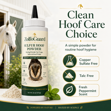 ZolfoGuard Sulfur Hoof Powder for Horses & Livestock, 16 oz – Drying Powder for Frogs, Soles & Hoof Walls – Sulfur, Bentonite Clay, Zinc Oxide & Peppermint Oil – Copper Sulfate Free, Talc Free Hoof Care