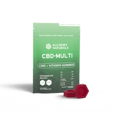 20-Pack: CBD-Multi Vitamin Gummies