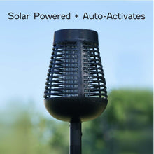 SOLAR BUG ZAPPER