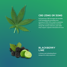 CBD Gummies for Daily Support - Full-Spectrum