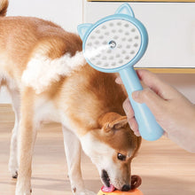 Multifunctional Steam Cat Grooming Brush