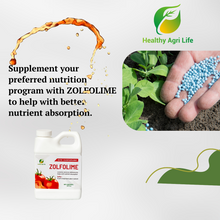 Zolfolime - Sulfur for Plants and Lawn