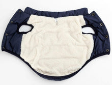 Cozycanine Waterproof Pet Jacket: Stylish Outdoor Attire For Your Furry Friend