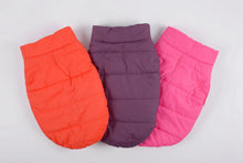 Cozycanine Waterproof Pet Jacket: Stylish Outdoor Attire For Your Furry Friend