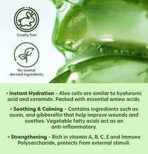 Nature Republic Mild & Moisture Aloe Vera Foam Cleanser